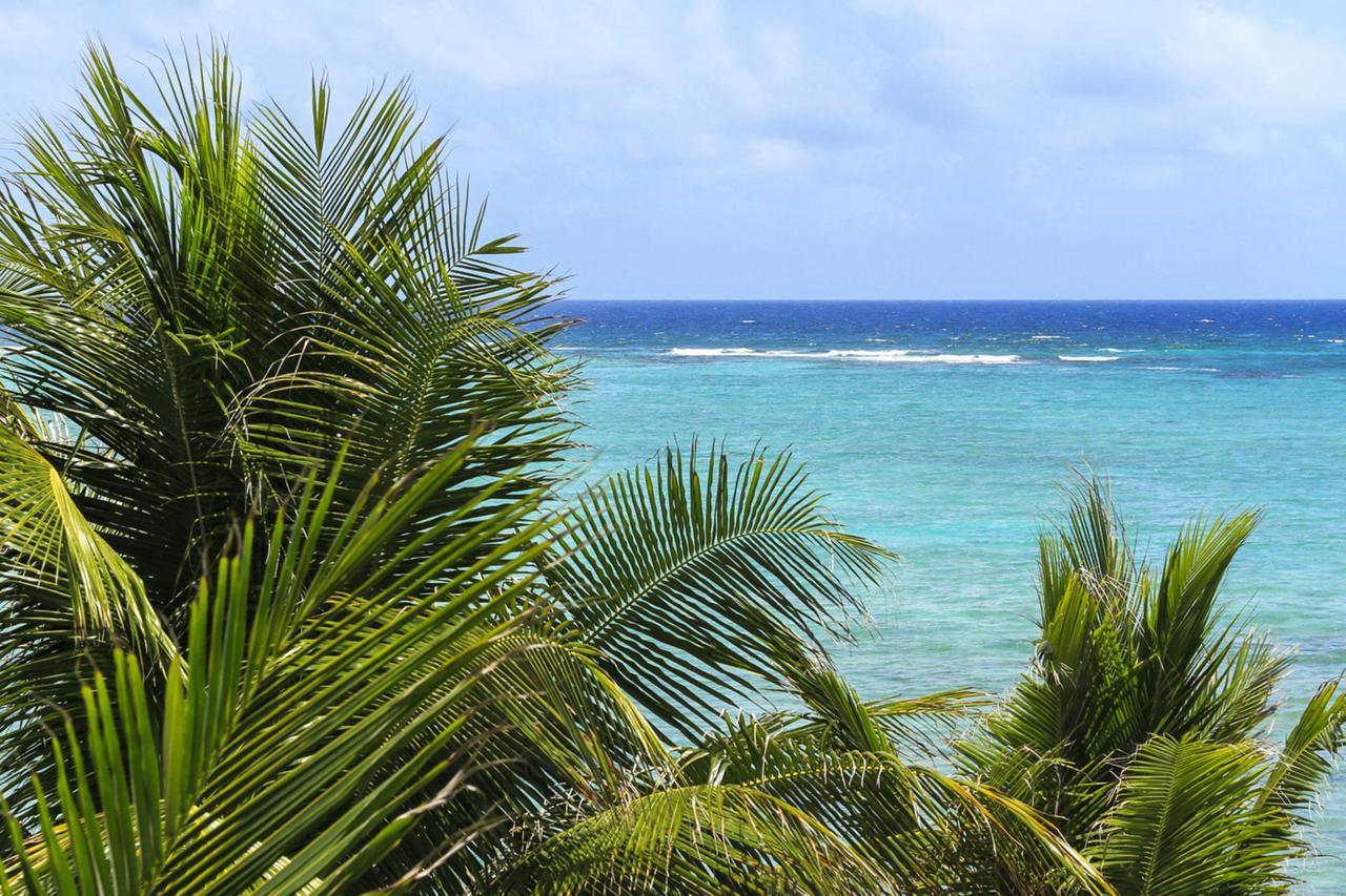 Hotel Cielo Maya Beach Tulum Exterior foto