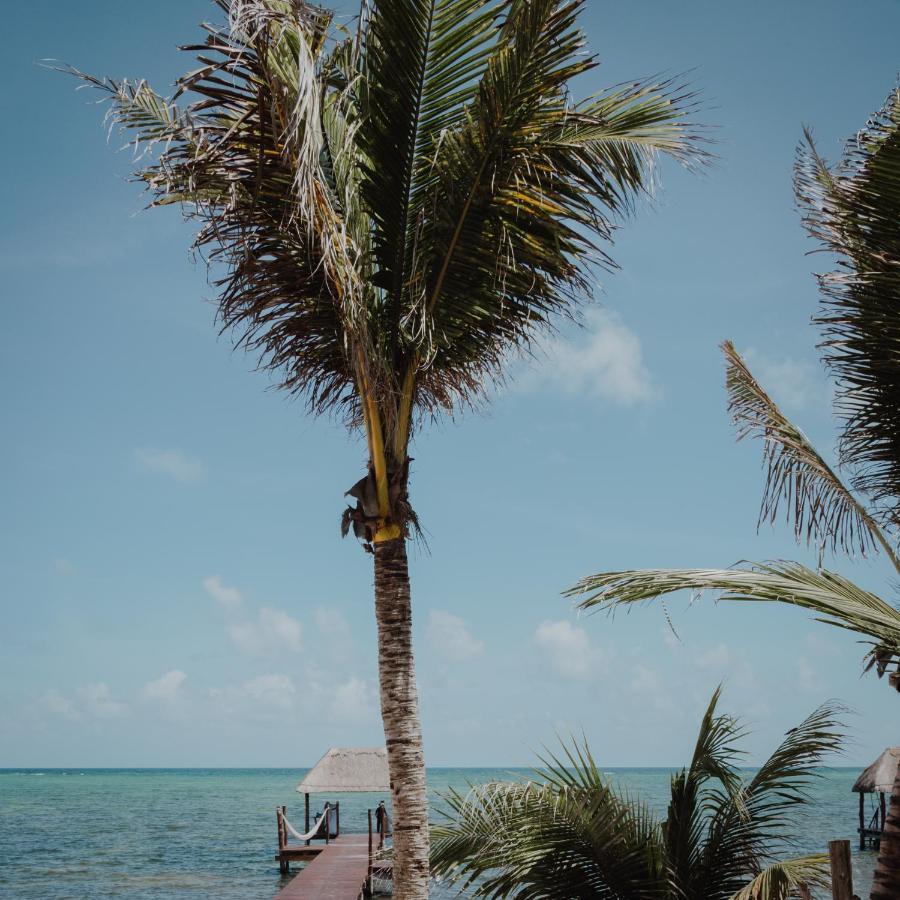 Hotel Cielo Maya Beach Tulum Exterior foto