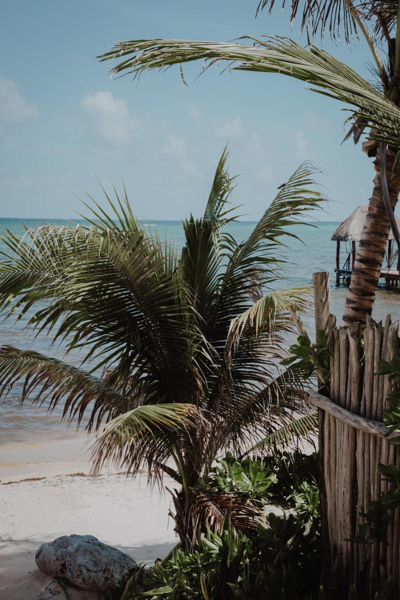 Hotel Cielo Maya Beach Tulum Exterior foto